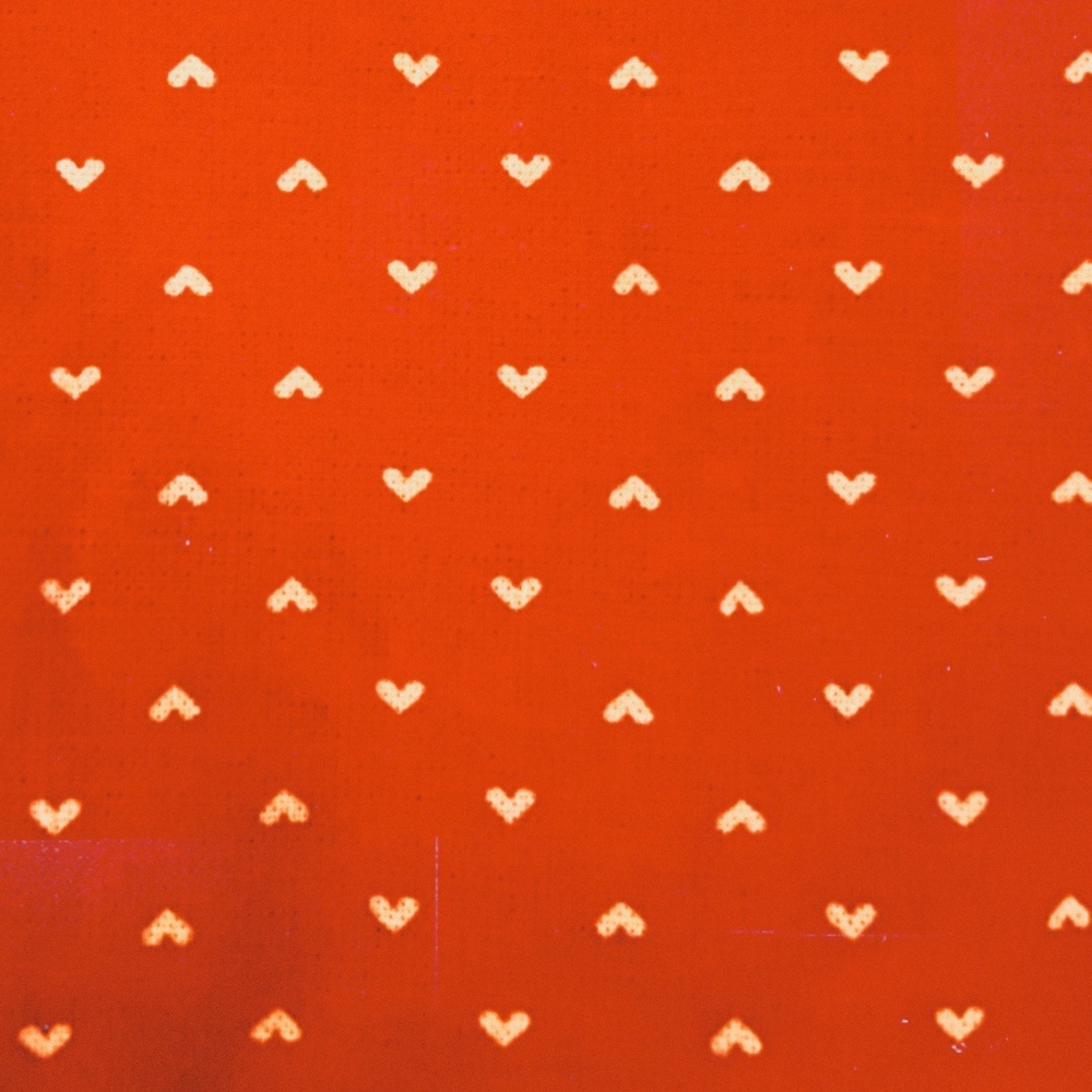 Meet your Posher, Sophia